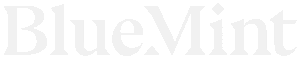logo-blue-mint 1